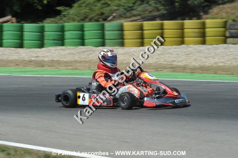 DSC_ (1855).JPG